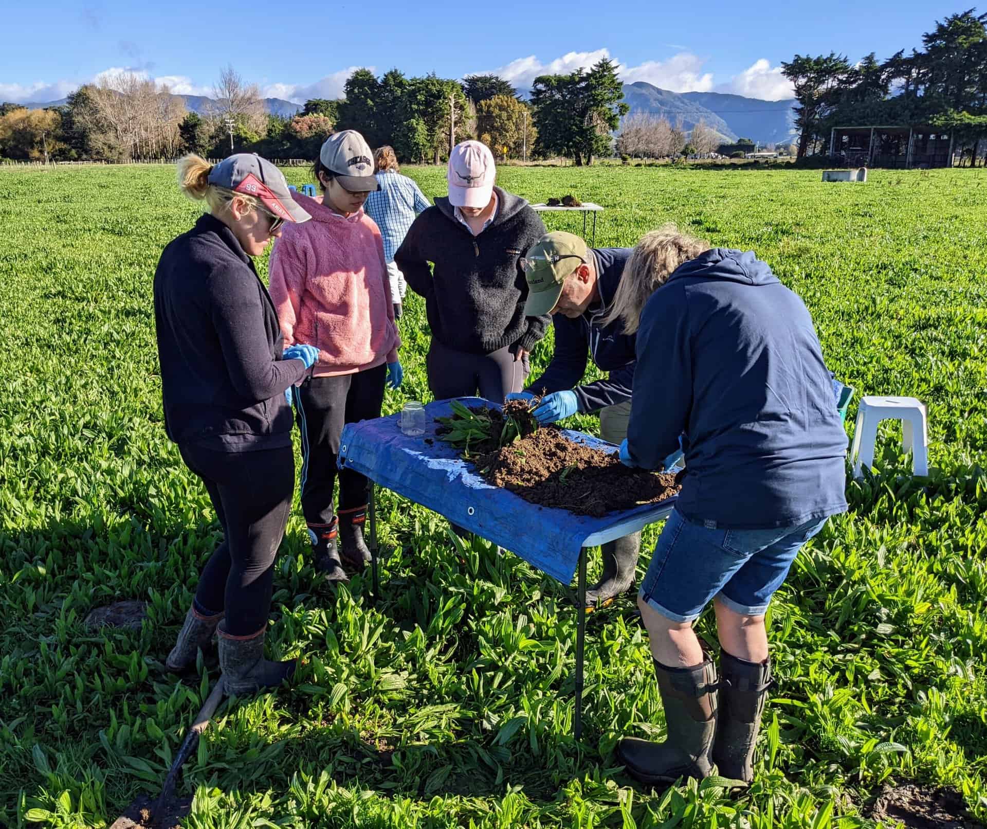 Hor Tararua Catchment Group Hero Shot