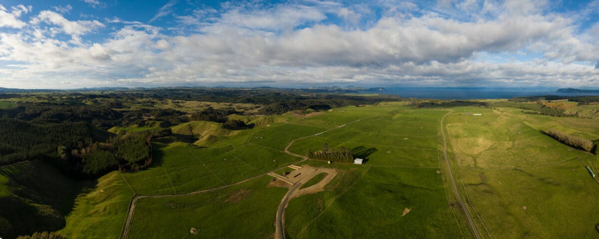 Wai Taupo Lake Care Catchment Group Hero Shot