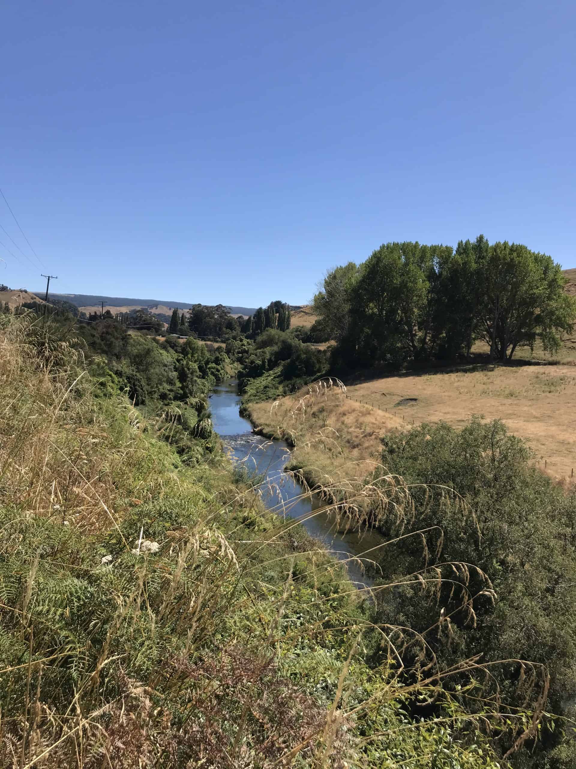 Upper Moawhango River Catchment Group Visit 4feb2022 (17)